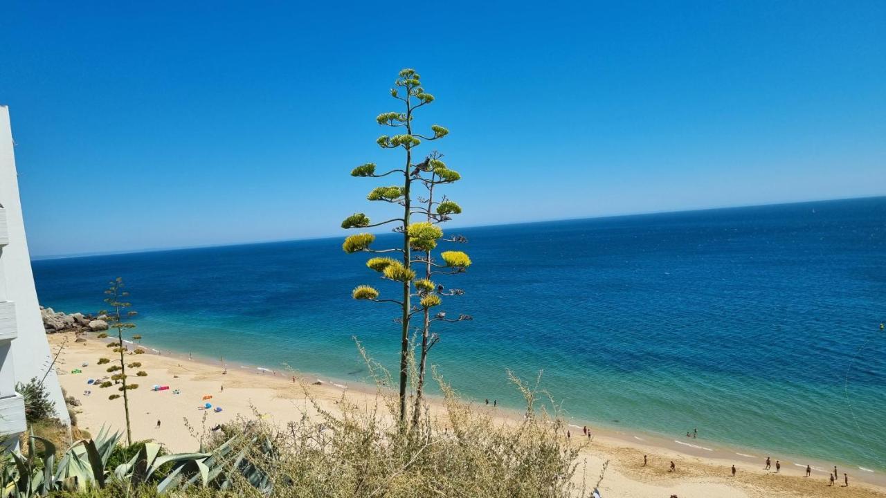 Sesimbra Sun&Sea - Beachfront Apartment! Exterior foto